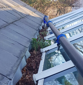 driveway cleaning in Stoke
