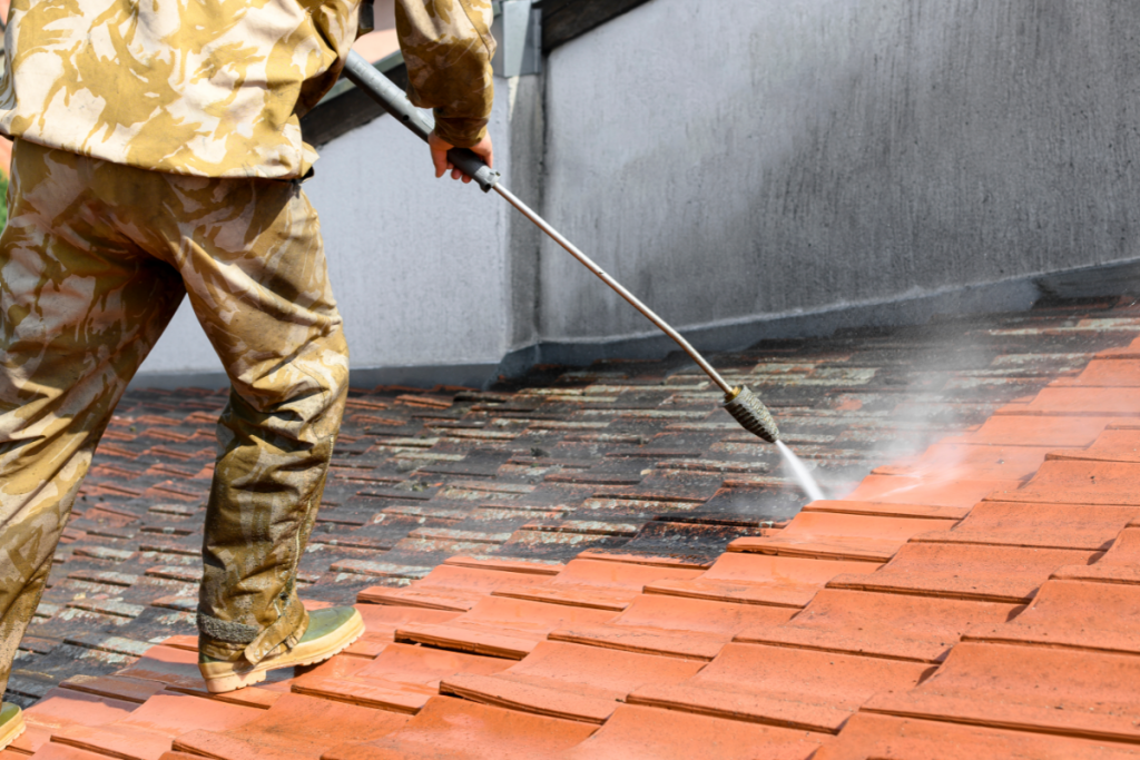 Professional Roof Cleaning